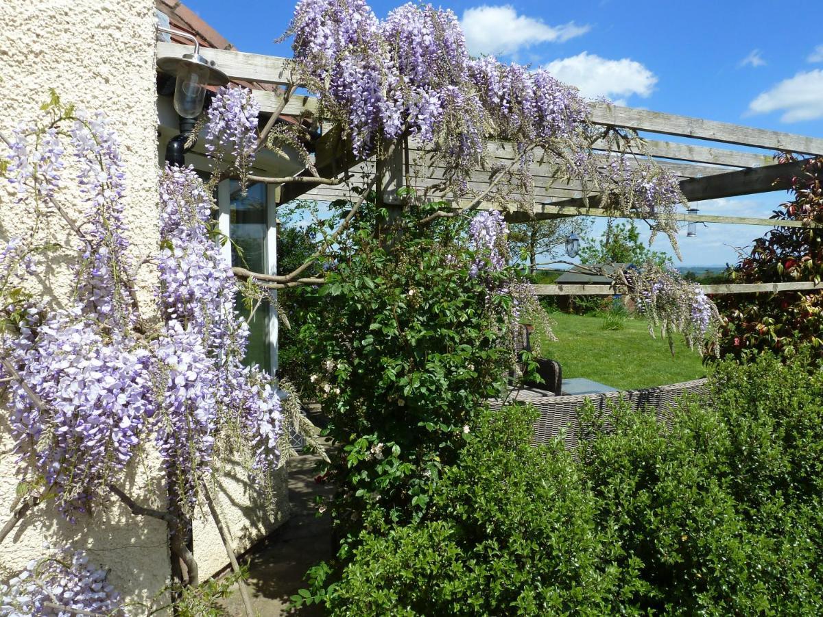The Lodge, At Orchard Cottage Much Marcle Eksteriør bilde